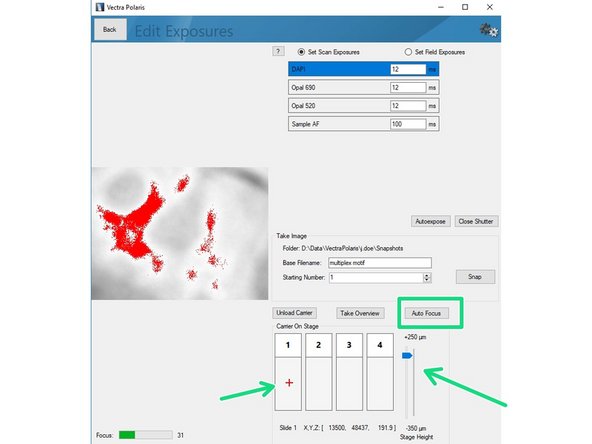 Click on&quot;Load Carrier&quot;  and wait until sample is loaded.