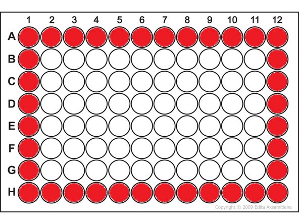 96 well plate (also 384 well plate): If you want to use objectives 20x, 40x, 60x , the imaging in the outer wells in red is prohibited due to the objective and stage limitation. If you will try to image in the outer wells, you risk the hardware damage!