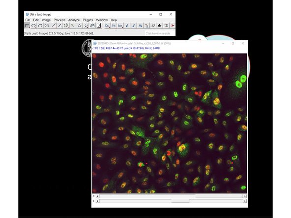 In the end you have a tif file containing a hyperstack for each site of your wells.