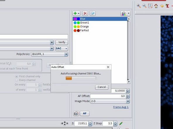 Click on "Auto Offset" to automatically measure the offset for the selected channels.