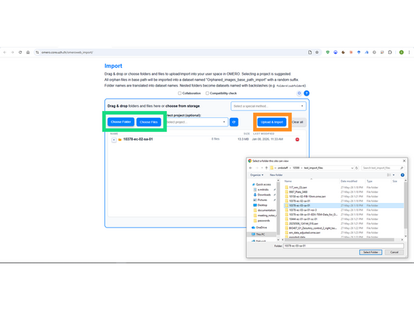 In the OMERO.web interface, top navigation bar, click on Import.