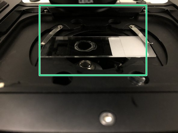 Insert your sample with the coverslip facing down and fix it with the two springs.