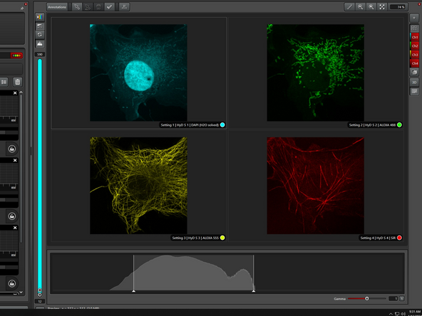 Zoom into your image (wheel!) so only one cell covers the whole field of view.