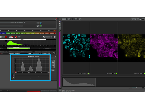 In this window, you can define how many populations you would like to separate.
