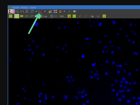 Click on the Autoscale button to enhance the contrast