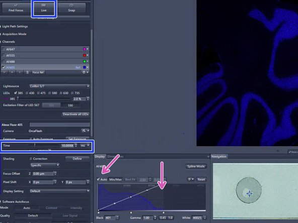 Start with the given exposure time e.g. 10 ms for relatively bright samples.