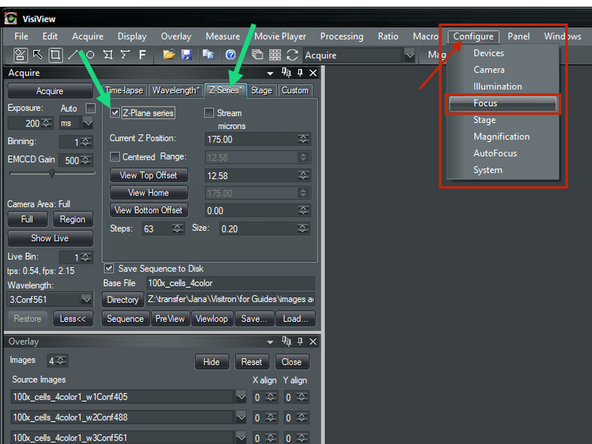 Select &quot;Z-Series&quot; tab and activate &quot;Z-Plane series&quot;.