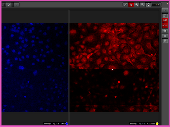 Activate "Live Stage and Focus Control".