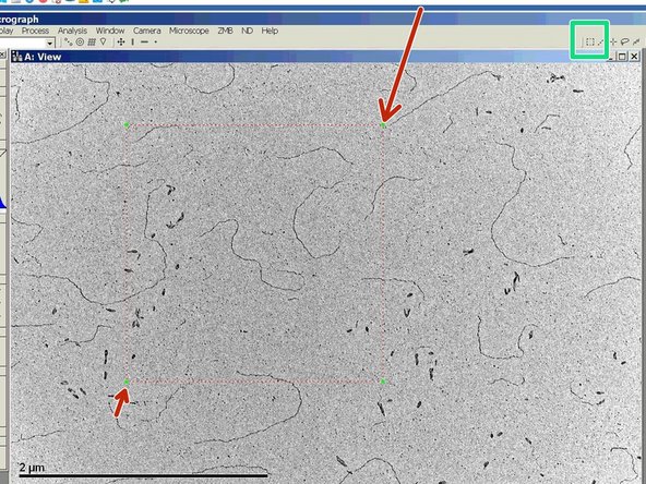 The Live FFT can be used to judge the focus and astigmatism of an image.