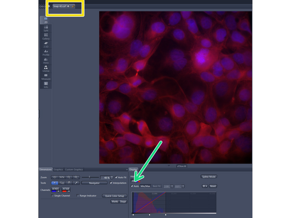 New images will show up as tabs above the current image. Recordings can be saved by right click on the tab and selecting &quot;Save as CZI file&quot;