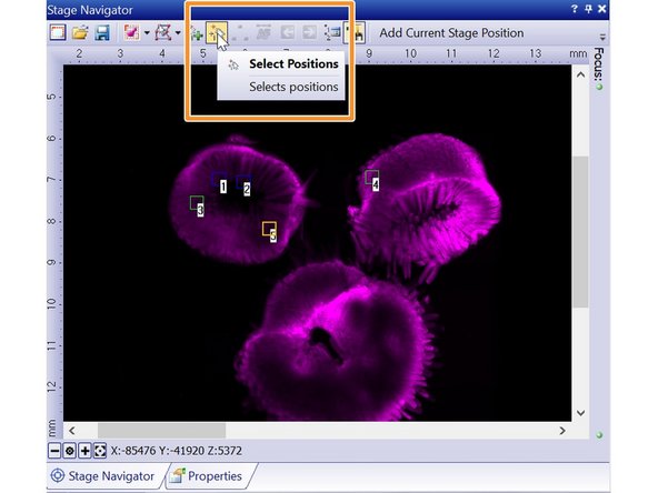 Once you've added all your positions you can group them (e.g. according to the imaging protocol you'd like to run on each group).