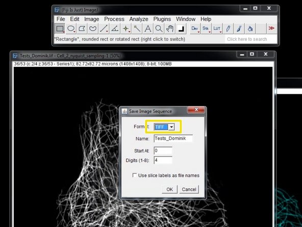 Choose &quot;TIFF&quot;.