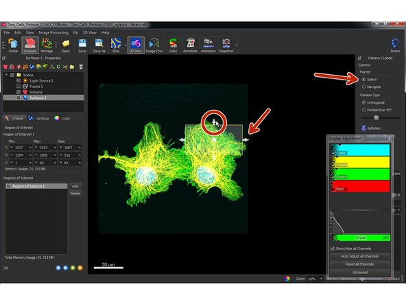 Define your region of interest by changing the dimensions and positions of the transparent box.