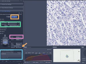エアリーページ lv654WyjbwmYRakr.standard
