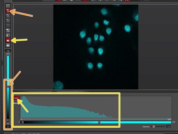 Click &quot;Live&quot;.