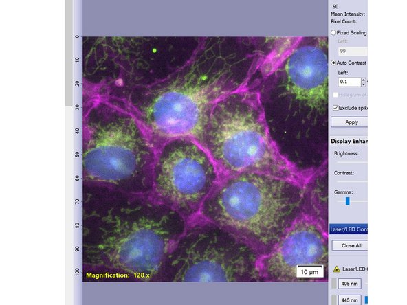 Name your experiment.