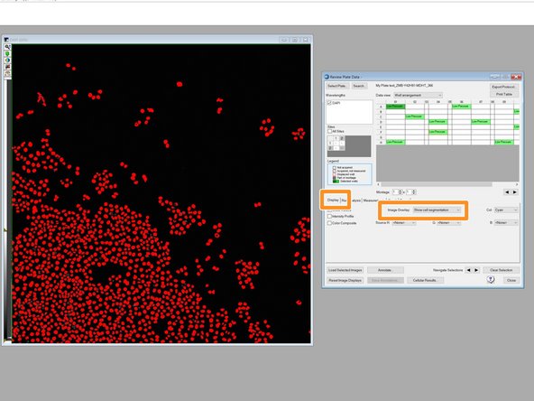 In the &quot;Display tab&quot;, choose for &quot;Image Overlay&quot;: &quot;Show cell Segmentation&quot;.