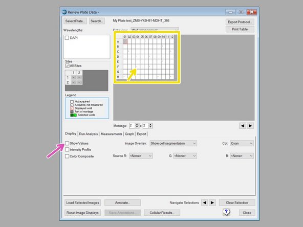 The plate format shows up. &quot;-&quot; indicates that these wells were imaged.
