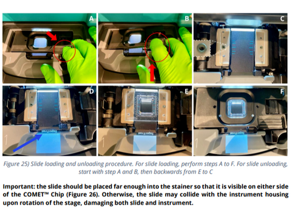 b) If needed, bring the stainer to be loaded in the front position by clicking on BRING TO FRONT.