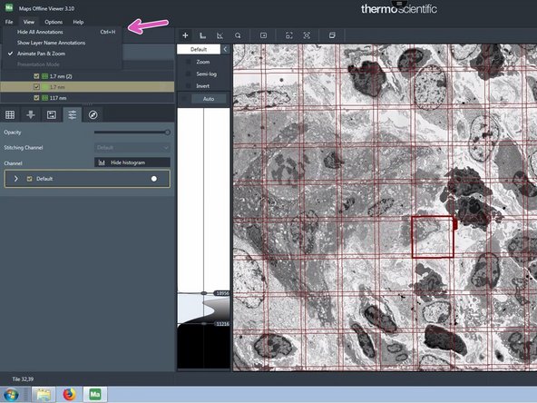 Go to &quot;View&quot;, &quot;hide all annotations&quot; to hide the grid bars and annotations.