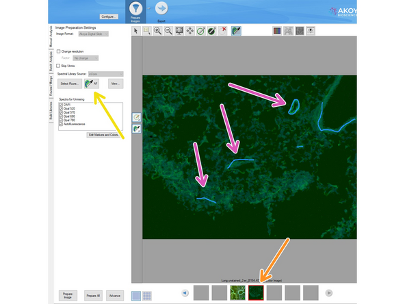 Click on &quot;Select Fluors&quot;