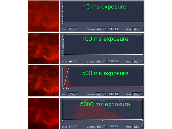When switching to a lower magnification objective it is likely that one needs to change the exposure time settings.