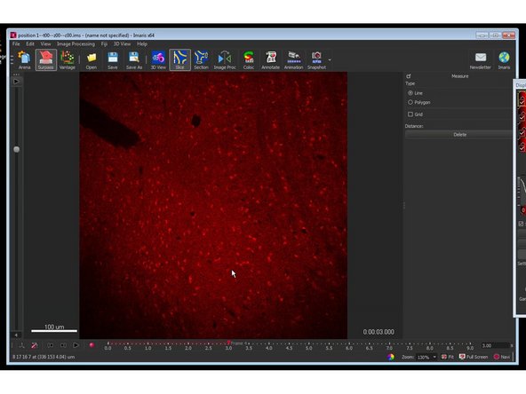 Add the folder containing your converted files in Arena by clicking &quot;Observe Folder&quot;.