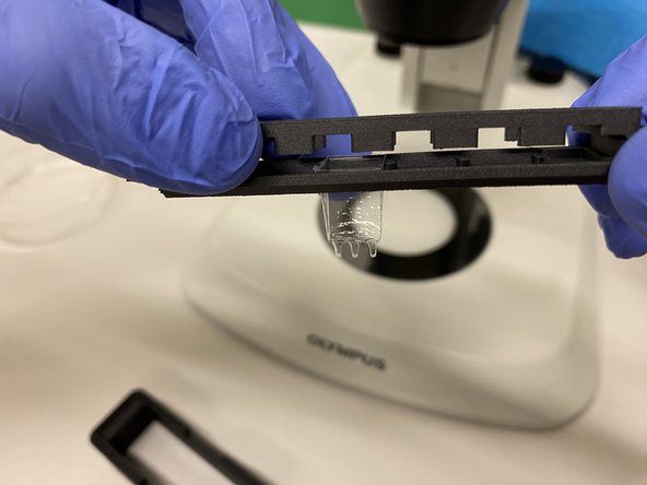 With the help of the macroscope load your sample(s) into the chamber. You can use the provided pipettes, ensuring that no bubbles are obstructing the view.