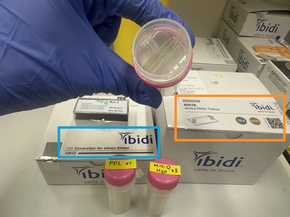 Catalog Numbers for Ordering Reagents: