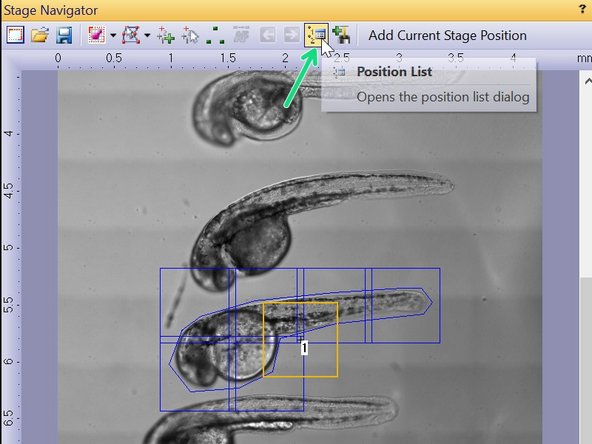 After adding a new position, focus your specimen.