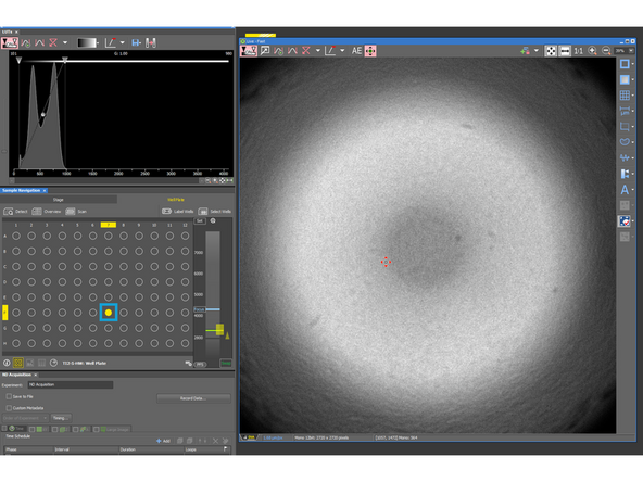 Nikon SD 6: Multiwell plate imaging