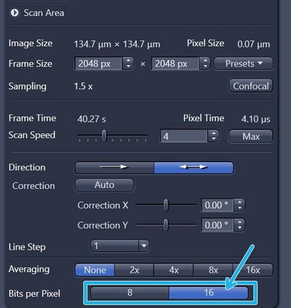 "Mean Intensity" ("Repeat per Line or per Frame"): may be used to remove noise (e.g. if high gain is used).