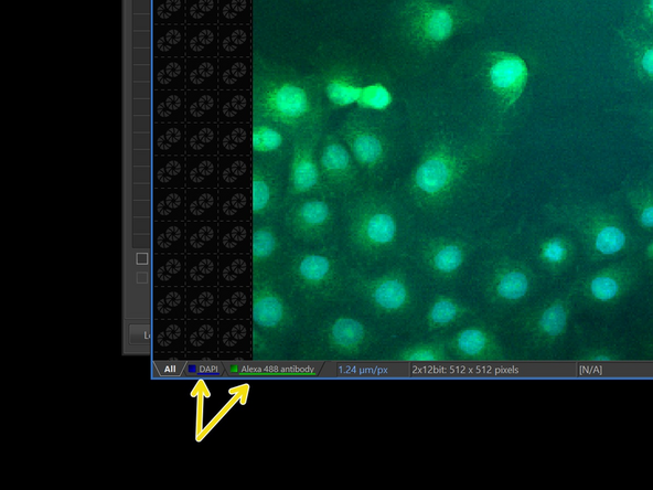 Or see the split view and overlay.