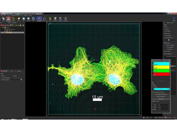 This opens your image in the &quot;Surpass&quot; view.