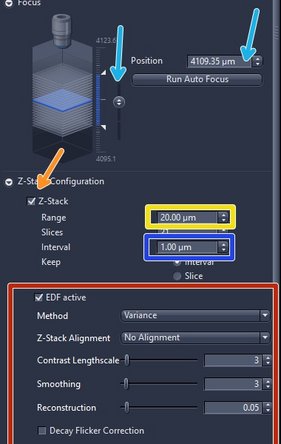 Define a z-stack if the tissue is not flat or very thick. By default the z-stack function is  disabled