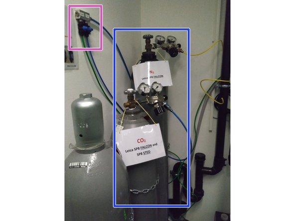 N2 (only necessary for  SP8 Falcon) and CO2 gas bottles (both SP8 Falcon and SP8 STED).