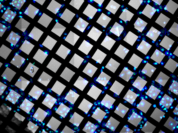 Ideally, you collect information about your grids before your milling session, to use the instrument efficiently.