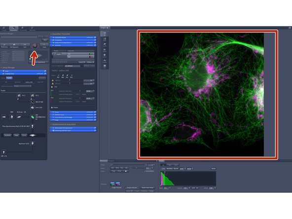 Click &quot;Continous&quot; in order to apply all imaging parameters to see SIM modulation contrast on your sample.
