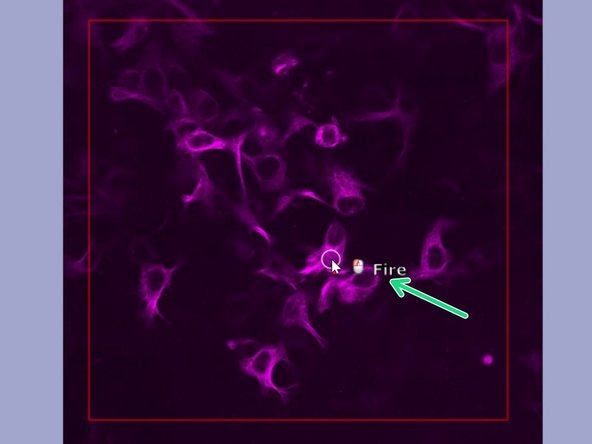 Choose it under the UG 42 panel (lower right).