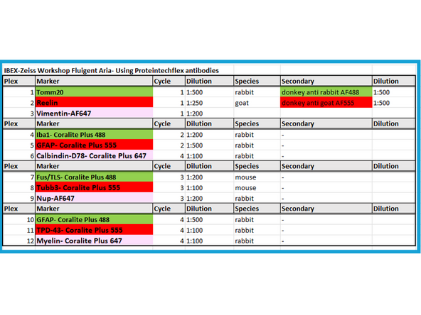 Example Panel for IBEX Multiplexing Experiment on Neuronal Tissue