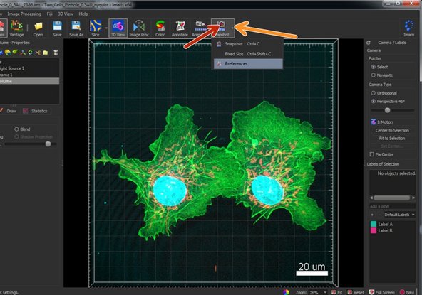 After adjusting the representation of your image you can export the current view with the Snapshot tool.