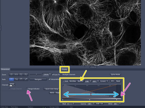 Click "Live" for starting the acquisition. ("Live" = fast live, always 512x512 format)