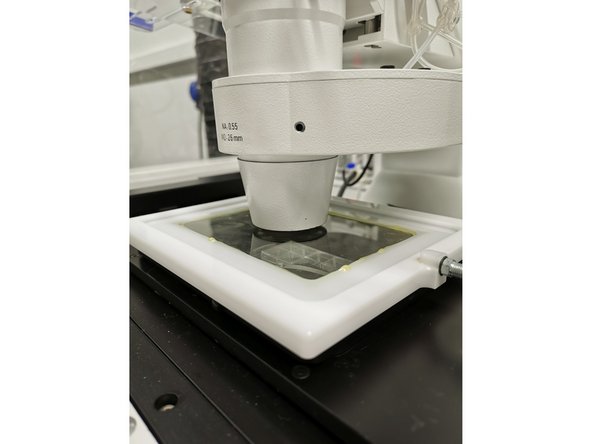 Zeiss Axio Observer (Schlieren) - Part X: Stage incubator for live imaging