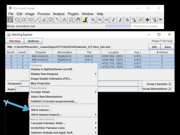 To stitch your data together, right click on the data you want to stitch and select &quot;stitch dataset&quot;.