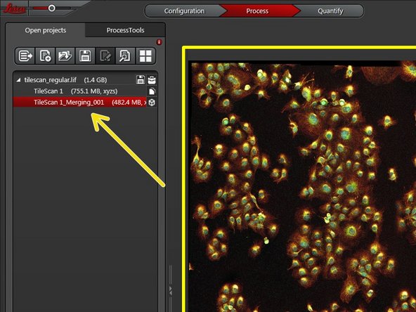 Go to the "Open projects" tab and view your new "TileScan_Merging" file.