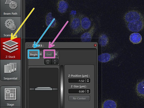 Define your Z-stack settings.