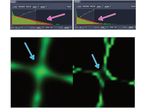 According to ZEISS the SIM² automatic processing with the presettings is very robust against overprocessing (when choosen correctly), especially compared to conventional Wiener-based image reconstruction. Nevertheless, when performing manual adjustment of the parameters, overprocessing might occur.