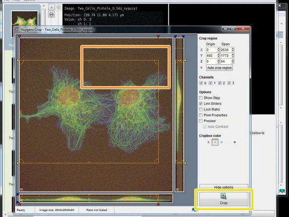 Adjust the area of interest by adjusting the cropping lines.