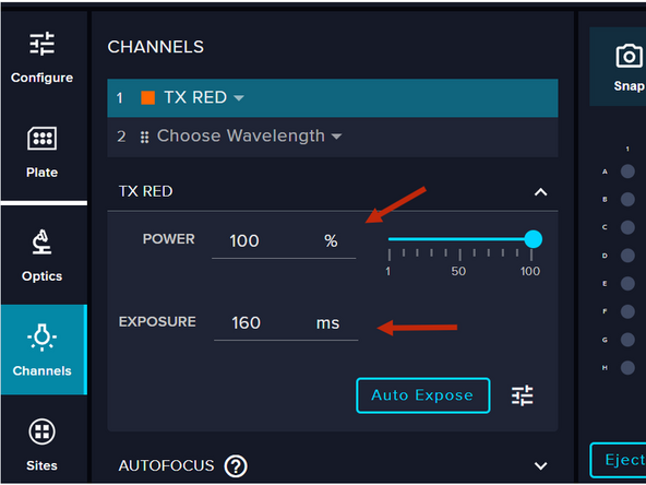 Only one channel can be used for target selection during the analysis. Additional channels can be set up if desired, but they will not be used further in the workflow.