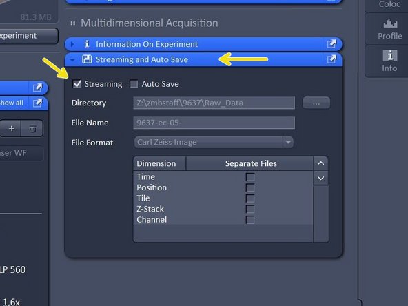 Open &quot;Streaming and Auto Save&quot; and activate &quot;Auto Save&quot; - define Directory and define your file name.
